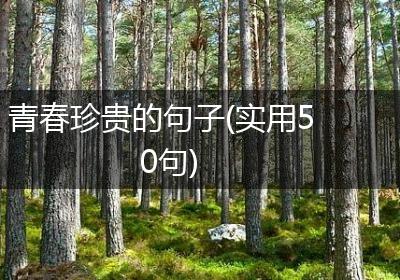 青春珍贵的句子(实用50句)