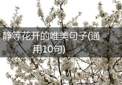 静等花开的唯美句子(通用10句)