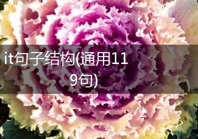 it句子结构(通用119句)