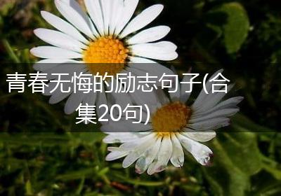 青春无悔的励志句子(合集20句)