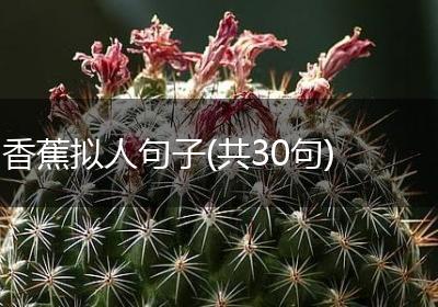 香蕉拟人句子(共30句)