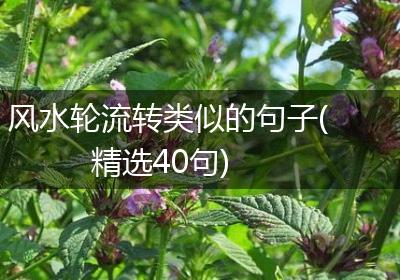 风水轮流转类似的句子(精选40句)