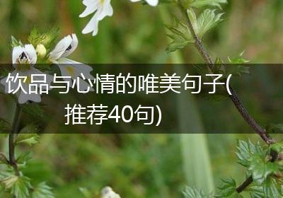 饮品与心情的唯美句子(推荐40句)