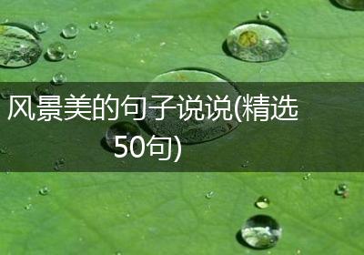 风景美的句子说说(精选50句)