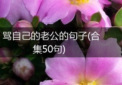 骂自己的老公的句子(合集50句)