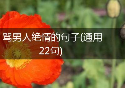 骂男人绝情的句子(通用22句)