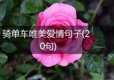 骑单车唯美爱情句子(20句)