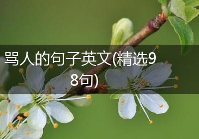 骂人的句子英文(精选98句)