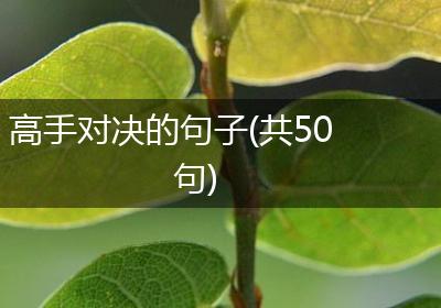 高手对决的句子(共50句)