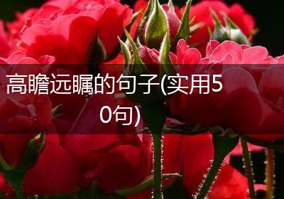 高瞻远瞩的句子(实用50句)