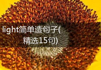 light简单造句子(精选15句)