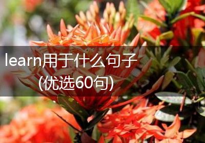 learn用于什么句子(优选60句)