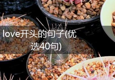 love开头的句子(优选40句)