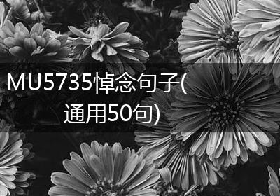 MU5735悼念句子(通用50句)