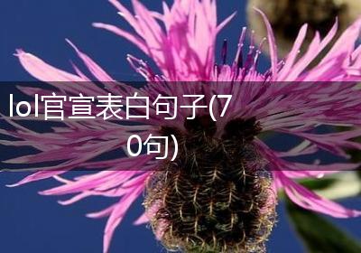 lol官宣表白句子(70句)