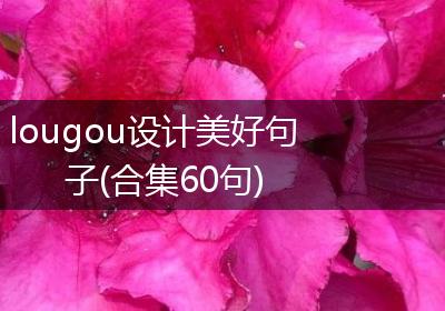 lougou设计美好句子(合集60句)