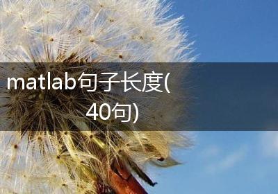 matlab句子长度(40句)