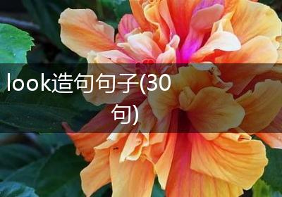 look造句句子(30句)