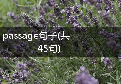 passage句子(共45句)