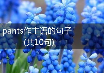 pants作主语的句子(共10句)