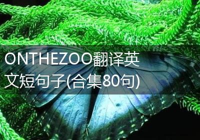 ONTHEZOO翻译英文短句子(合集80句)