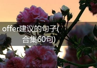 offer建议的句子(合集60句)