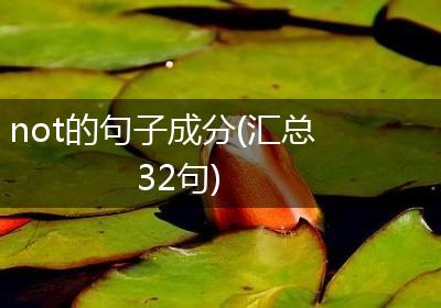 not的句子成分(汇总32句)