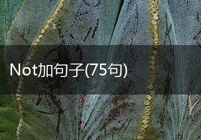 Not加句子(75句)