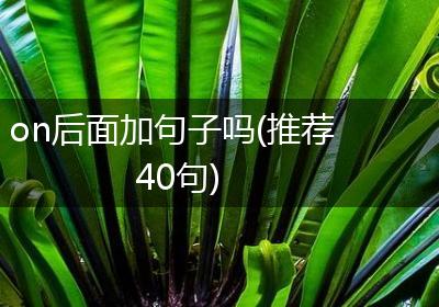 on后面加句子吗(推荐40句)