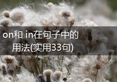 on和 in在句子中的用法(实用33句)