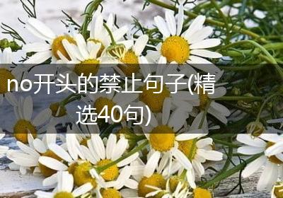 no开头的禁止句子(精选40句)