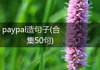 paypal造句子(合集50句)