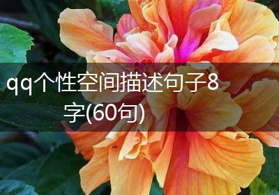 qq个性空间描述句子8字(60句)