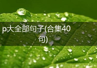 p大全部句子(合集40句)