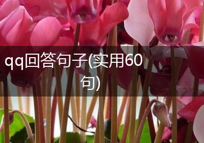qq回答句子(实用60句)