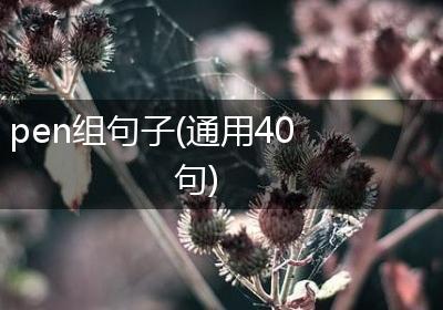 pen组句子(通用40句)