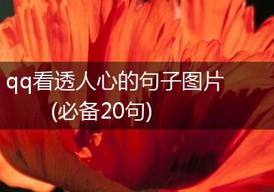 qq看透人心的句子图片(必备20句)