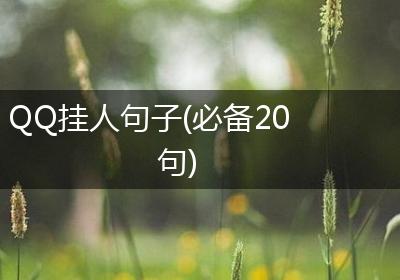 QQ挂人句子(必备20句)
