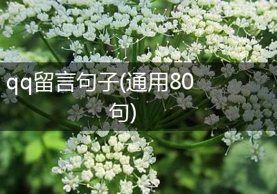 qq留言句子(通用80句)