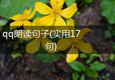 qq朗读句子(实用17句)