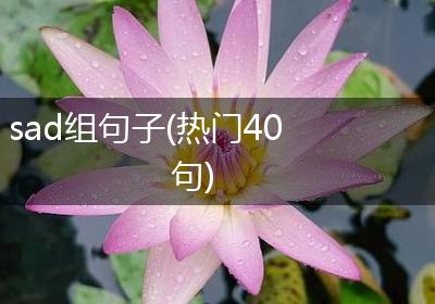 sad组句子(热门40句)