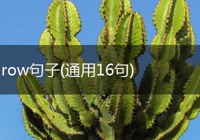 row句子(通用16句)
