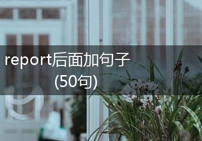report后面加句子(50句)