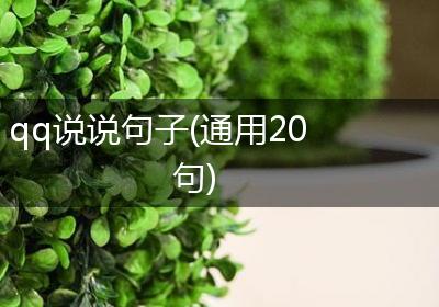 qq说说句子(通用20句)