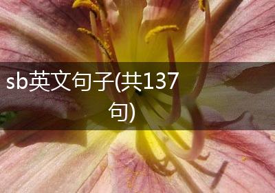 sb英文句子(共137句)