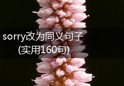 sorry改为同义句子(实用160句)