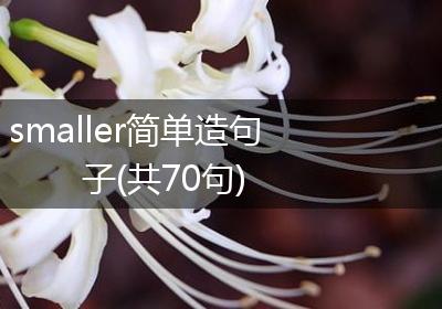 smaller简单造句子(共70句)