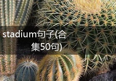 stadium句子(合集50句)