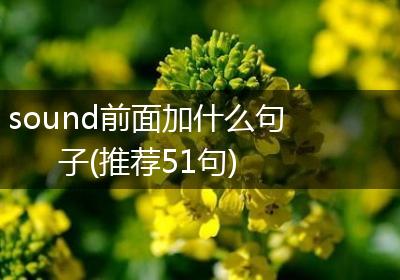sound前面加什么句子(推荐51句)