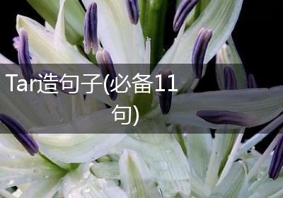Tar造句子(必备11句)